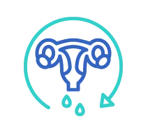 Cycle-menstruel